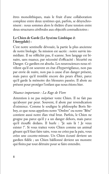 Extrait 6 du livre Le Chien, le Hibou et la Guerre