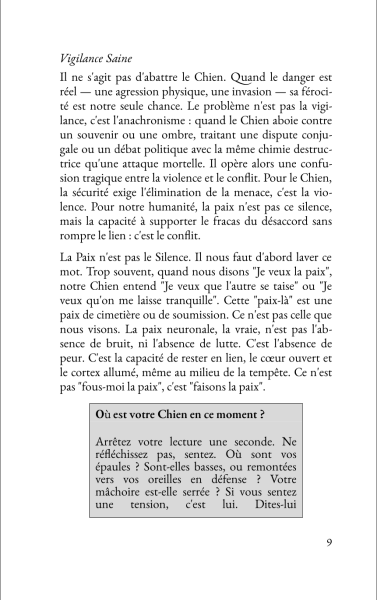 Extrait 7 du livre Le Chien, le Hibou et la Guerre